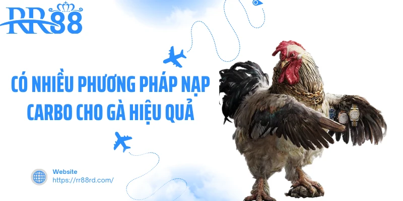 Có nhiều phương pháp nạp Carbo cho gà hiệu quả