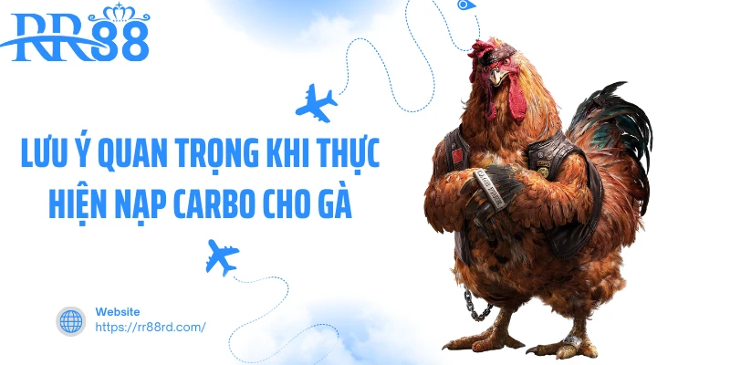 Lưu ý quan trọng khi thực hiện nạp Carbo cho gà
